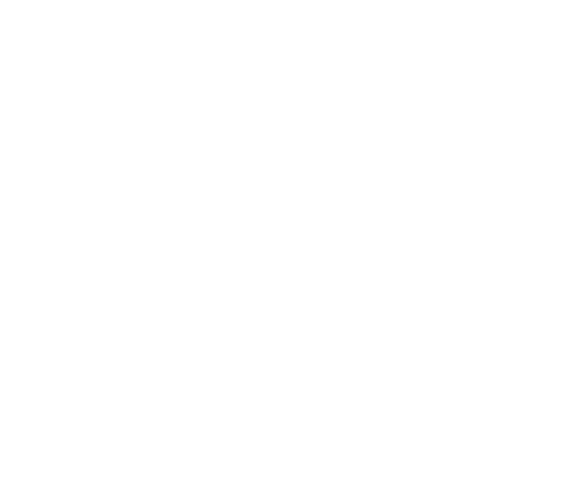 Made Id Dade mark, a shark dorsal fin.