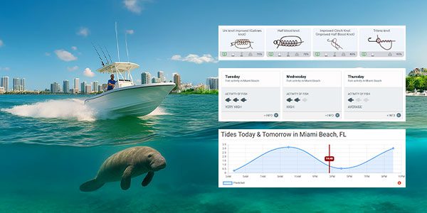 Miami Fishing and Boating Information