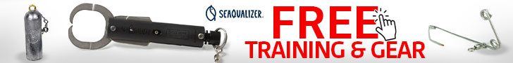 Seaqualizer Banner Ad